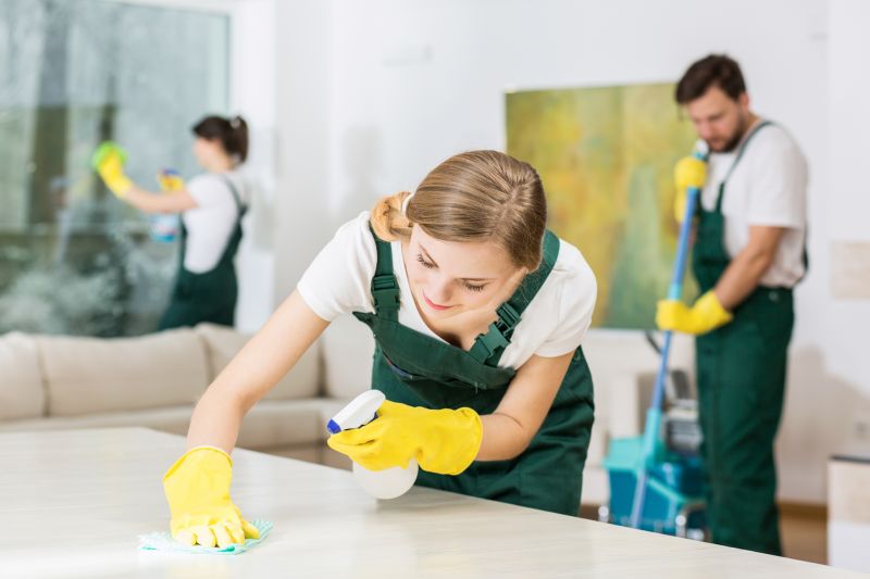 Basement Cleaning Service in Redmond, WA