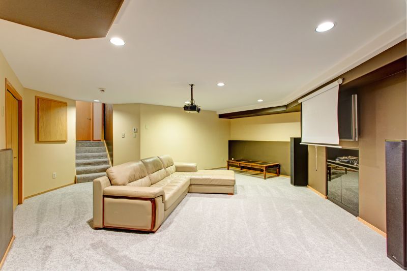 Basement Vacuuming in Redmond, WA