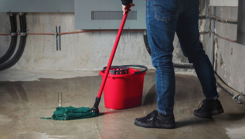 Basement Vacuuming in Puyallup, WA