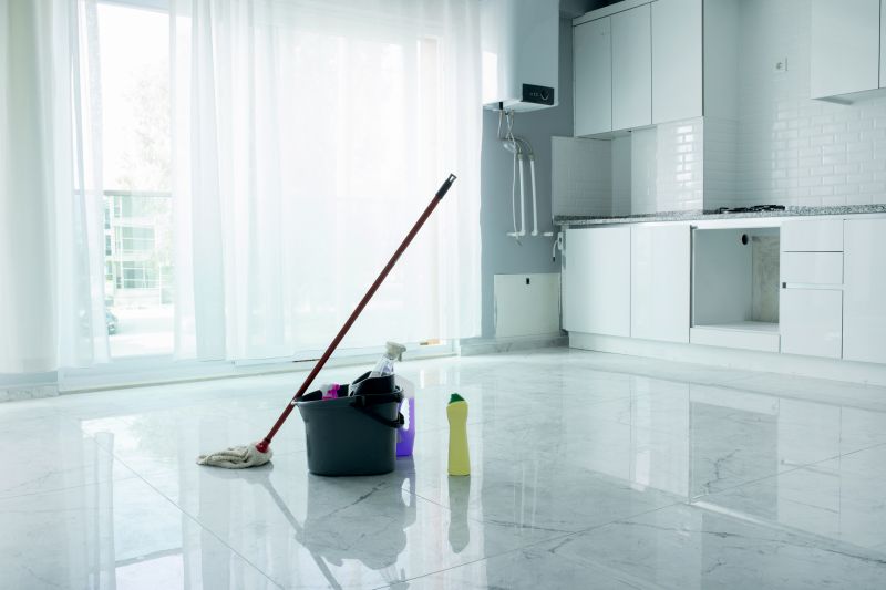 Townhouse Deep Cleaning in Bellevue, WA