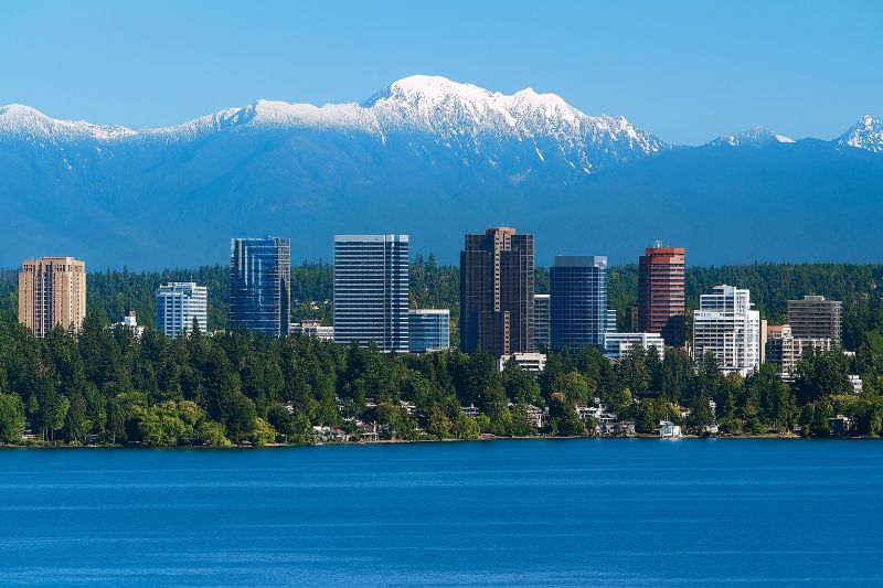 Local Business Cleaning Service in Renton, WA