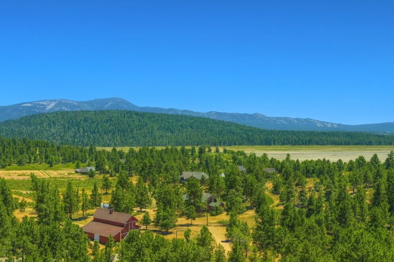 Local Remodeling Cleaning Service in Big Bear City, CA