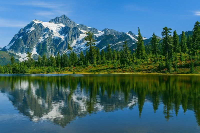 Local Remodeling Cleaning Service in Maple Valley, WA